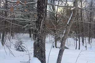 Lot 01 31 Spruce Pond Rd, Limington, ME 04961 - Photo 25