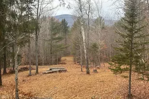 Lot 01 31 Spruce Pond Rd, Limington, ME 04961 - Photo 35