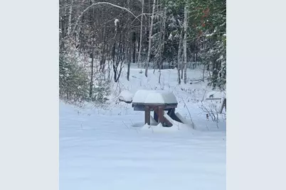 Lot 01/31 Spruce Pond Road, Limington, ME 04961 - Photo 31