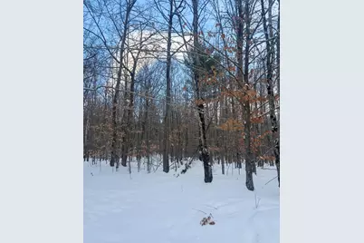 Lot 01/31 Spruce Pond Road, Limington, ME 04961 - Photo 27