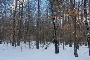 Lot 01 31 Spruce Pond Rd, Limington, ME 04961 - Photo 27