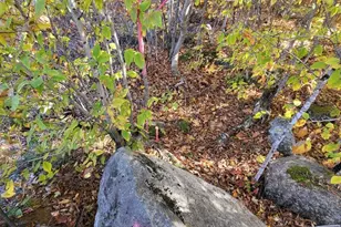 Lot 9 Moose Ridge Rd, Oakfield, ME 04763 - Photo 31