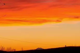 Lot 9 Moose Ridge Rd, Oakfield, ME 04763 - Photo 3