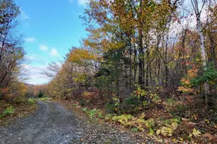Lot 9 Moose Ridge Rd, Oakfield, ME 04763 - Photo 21