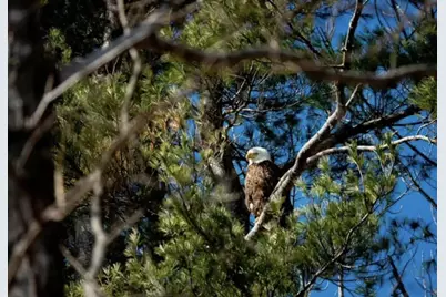 140 Pleasant Street, Richmond, ME 04357 - Photo 53