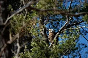 140 Pleasant St, Richmond, ME 04357 - Photo 53