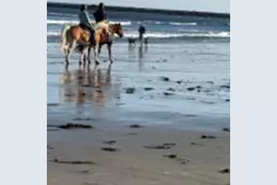 85 Mile Road #13, Wells, ME 04090 - Photo 15