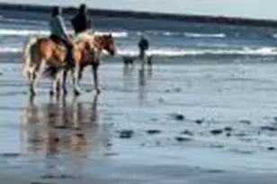 85 Mile Rd, Wells, ME 04090 - Photo 15