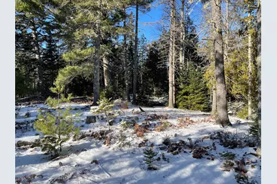 0 Juniper Ledge Road, Bar Harbor, ME 04609 - Photo 9