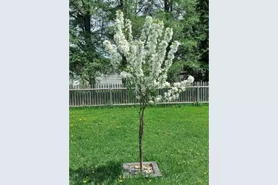 107 Morse Street, Van Buren, ME 04785 - Photo 11