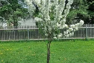 107 Morse St, Van Buren, ME 04785 - Photo 11