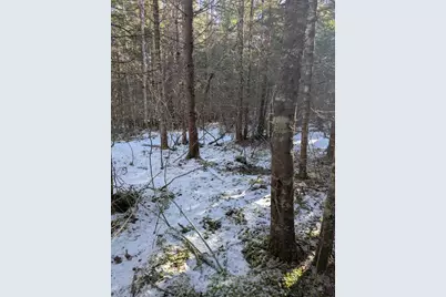 19 Tamarack Lane, Cushing, ME 04563 - Photo 9