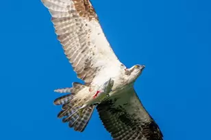 111 Rockweed Rd, West Bath, ME 04530 - Photo 71