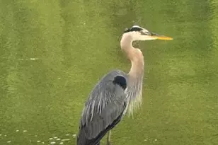 111 Rockweed Rd, West Bath, ME 04530 - Photo 65