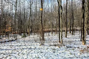 42 Western Ave, East Millinocket, ME 04430 - Photo 45