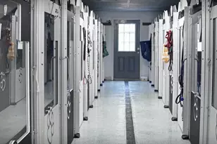 757 Limerick Rd, Arundel, ME 04046 - Photo 55