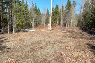 Lot 85 Woodland Ridge Rd, Danforth, ME 04424 - Photo 1