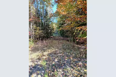 Lot 85 Woodland Ridge Road, Danforth, ME 04424 - Photo 3
