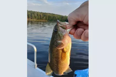 Lot 85 Woodland Ridge Road, Danforth, ME 04424 - Photo 5