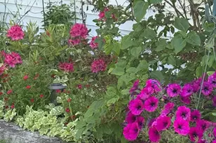 1041 &1046 Cape Jellison Rd, Stockton Springs, ME 04981 - Photo 51