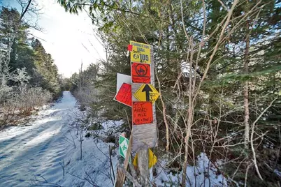 Lot 13 Denmark Road, Haynesville, ME 04497 - Photo 9