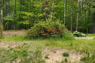 51 Wyman Hill Rd, Rumford, ME 04276 - Photo 13