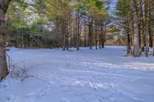 159 Bisco Rd, Paris, ME 04281 - Photo 43