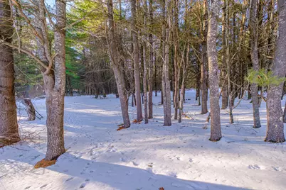 159 Bisco Road, Paris, ME 04281 - Photo 41