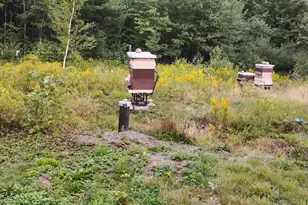 511 Kingman Rd, Kingman, ME 04451 - Photo 9