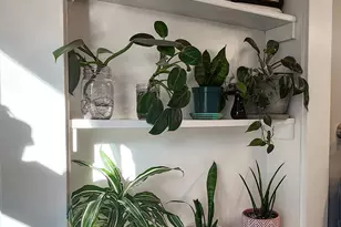 55 Parkview Ave, Bangor, ME 04401 - Photo 61