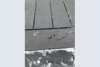 64 Pineland Drive, Winthrop, ME 04364 - Photo 21