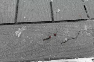 64 Pineland Dr, Winthrop, ME 04364 - Photo 21