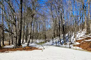 372 River Rd, Avon, ME 04966 - Photo 31