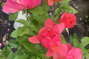 41 Rowe Brook Rd, Dedham, ME 04429 - Photo 45