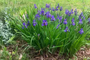 41 Rowe Brook Rd, Dedham, ME 04429 - Photo 47