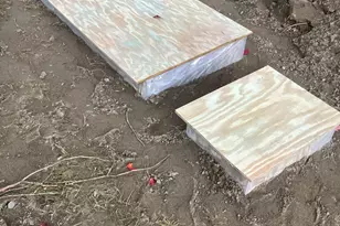 41 Rowe Brook Rd, Dedham, ME 04429 - Photo 49