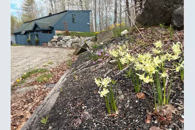 41 Rowe Brook Road, Dedham, ME 04429 - Photo 5