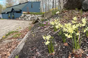 41 Rowe Brook Rd, Dedham, ME 04429 - Photo 5