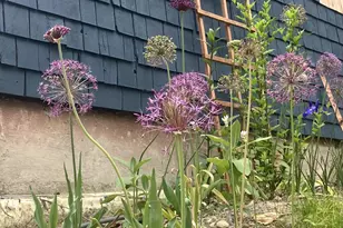 41 Rowe Brook Rd, Dedham, ME 04429 - Photo 51