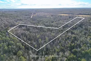 101 Townhouse Rd, Kenduskeag, ME 04450 - Photo 55