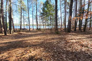 64 Christmas Tree Ln, Bridgton, ME 04009 - Photo 95