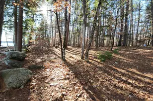 64 Christmas Tree Ln, Bridgton, ME 04009 - Photo 93