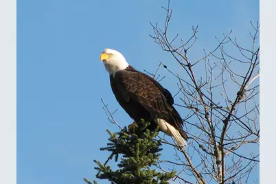 610 Railroad Bed Road, Lake View Plantation, ME 04463 - Photo 29