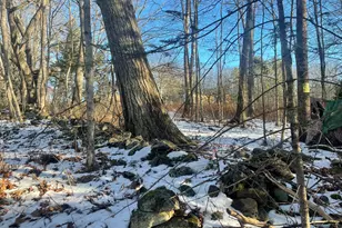 38 Jasmine Ln, Union, ME 04862 - Photo 83