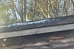 38 Jasmine Ln, Union, ME 04862 - Photo 153