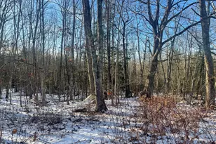 38 Jasmine Ln, Union, ME 04862 - Photo 117