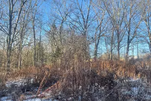 38 Jasmine Ln, Union, ME 04862 - Photo 89