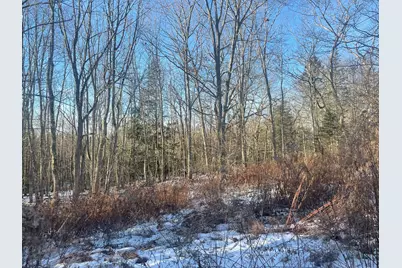 38 Jasmine Lane, Union, ME 04862 - Photo 115