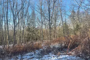 38 Jasmine Ln, Union, ME 04862 - Photo 115