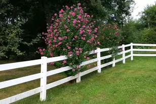 693 Goding Rd, Acton, ME 04001 - Photo 43